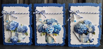 0e227430 9972 48d7 89ba bc910db75445