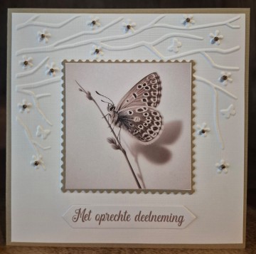 1c50652b 4c0c 4beb a4da 39c8426f593d