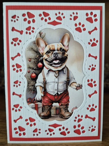 B319c81d 48cb 489d 96fd 4130c6c4e210