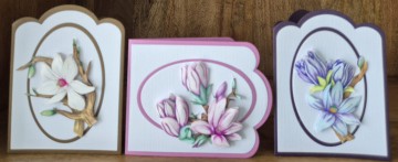 Baa9ece5 2201 45f2 ae7d b75a9a9d9c7a