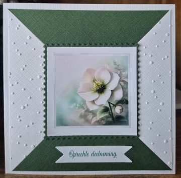 C5e2d4c0 34a5 45ed a124 aeef6d7cecc1