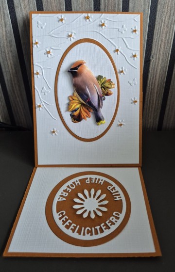 E86a4db5 fe5a 4207 b1e2 acf6800c44a0