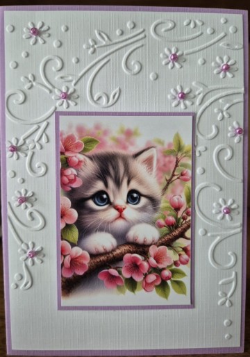 Ec4b1779 1403 4220 a982 62f5da19c5c2