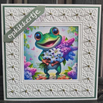 Whatsapp image 2025 01 25 at 114722