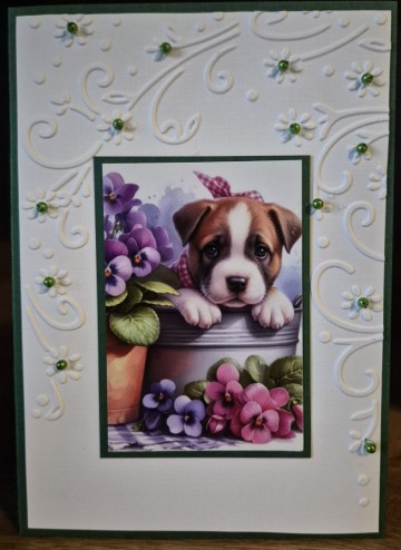 Whatsapp image 2025 02 05 at 172503