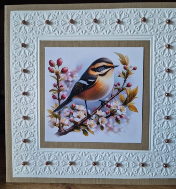 Whatsapp image 2025 02 17 at 174612